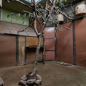 Exotarium - parrot+dove indoor exhibit