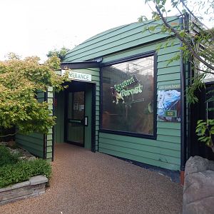 Iguana Forest entrance 110925