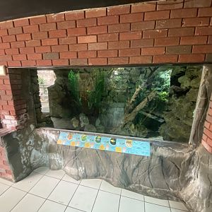 Worlds Apart - Mixed Aquarium exhibit 110925