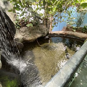 Worlds Apart - Aquatic exhibit 110925