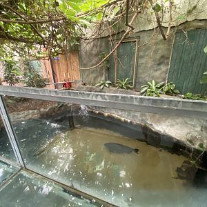 Worlds Apart - Aquatic exhibit 110925