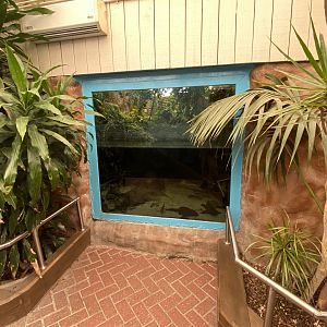 Worlds Apart - Aquatic exhibit 110925