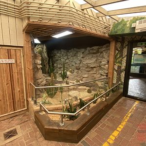 Worlds Apart - Cacti exhibit 110925