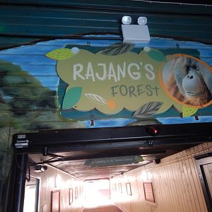 Rajang's Forest entrance 110925