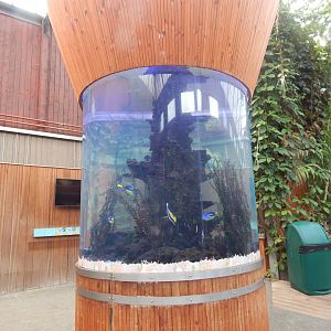 Rajang's Forest - Aquatic exhibit 110925