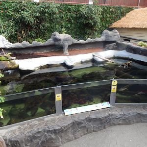 Rajang's Forest - Large aquatic exhibit from upper walkway 110925