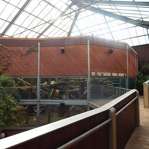 Rajang's Forest - Bornean orangutan enclosure from upper walkway 110925