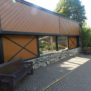 Yellow-breasted capuchin enclosure 110925