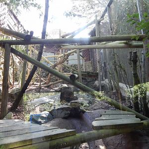 Rock hyrax exhibit 110925
