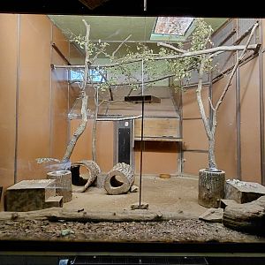 Exotarium - galah+porcupine indoor exhibit