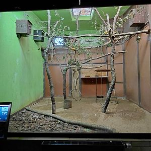 Exotarium - lorikeet+honeyeater indoor exhibit