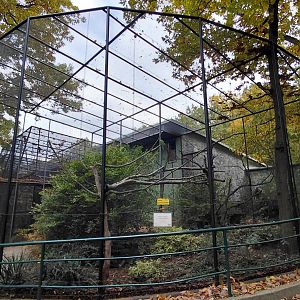 Parakeet + honeyeater aviary