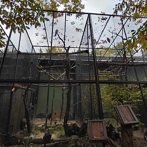 Galah + eclectus aviaries