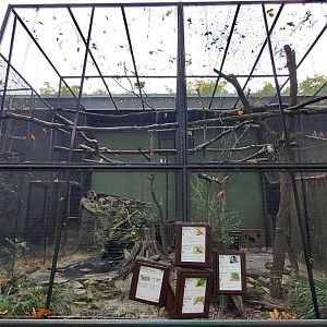 Aviaries
