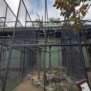 Kea aviary