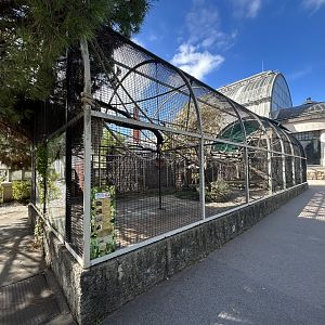 South America Mixed-Species Exhibit - Palm House