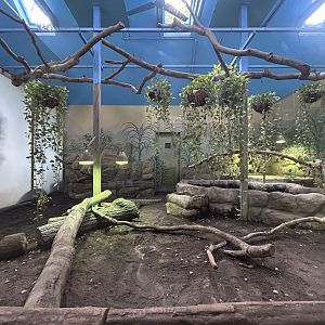 Indoor Komodo Dragon Exhibit
