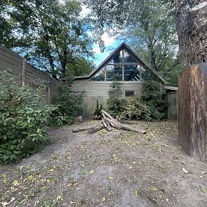 Komodo Dragon Exhibit