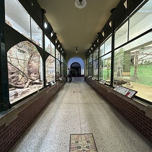 Bird & Reptile Exhibits - Australia House