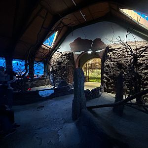 Nocturnal Walkthrough Exhibit - Australia House