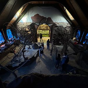 Nocturnal Walkthrough Exhibit - Australia House