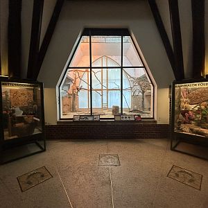 Galah Exhibit - Australia House