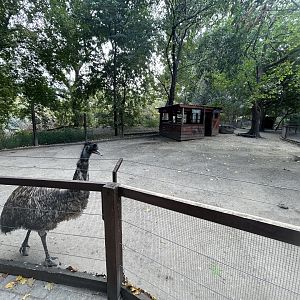 Emu Exhibit