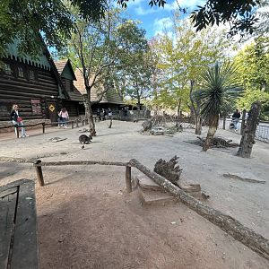 Bennett’s Wallaby & Emu Exhibit