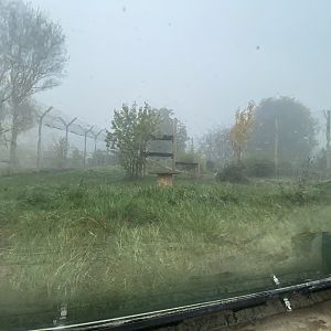 Left side view of Sumatran tiger enclosure form tunnel