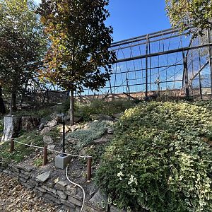 Squirrel Monkey & Macaw Exhibit