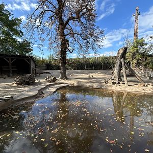 South American Tapir, Capybara & Mara Exhibit