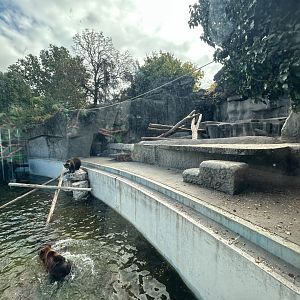 Grizzly Bear Exhibit