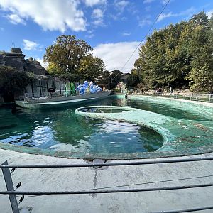 California Sea Lion Exhibit