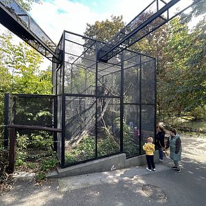 Red Squirrel Exhibit