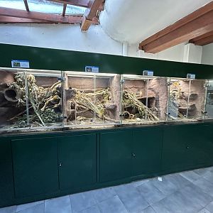 European Rodent Exhibits