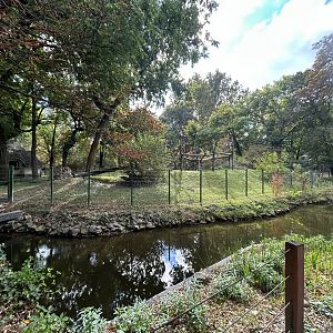 Golden-bellied Mangabey Exhibit - Madagascar House