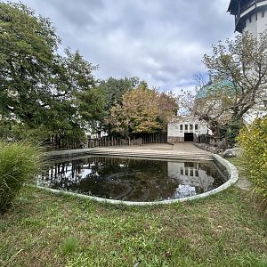 Nile Hippo Exhibit - Elephant House