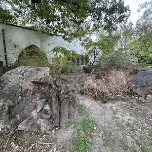 Yellow Mongoose Exhibit - Elephant House