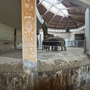 Indoor Asian Elephant Exhibit (Extension Area)