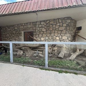 Banded Mongoose Exhibit - Savanna House