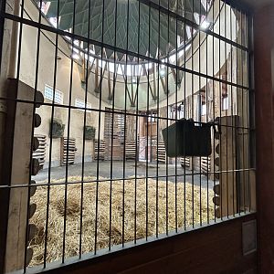 Indoor Giraffe Exhibit - Savanna House