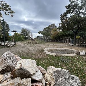 African Savanna (6 Species)