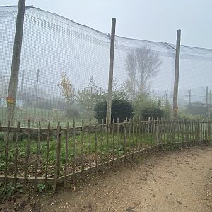Another view of Sumatran tiger enclosure