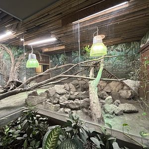 Burmese Python Exhibit - Reptile House