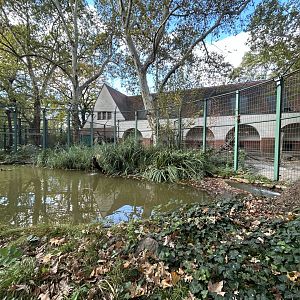 Wolverine Exhibit - India House