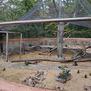 Ngorongoro outdoor exhibit