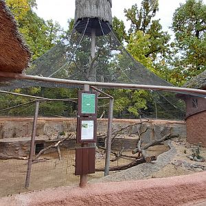 Ngorongoro outdoor exhibit