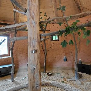 Ngorongoro indoor exhibit