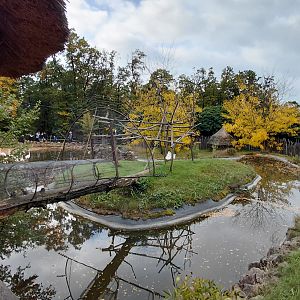 Lemur + flamingo outdoor exhibits