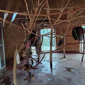 Lemur indoor exhibit